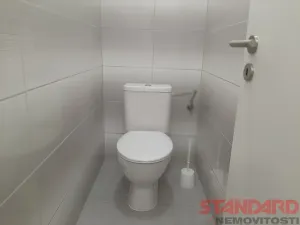 Pronájem komerční nemovitosti, Lužany, 64 m2