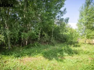 Prodej pozemku pro bydlení, Rožmitál pod Třemšínem, 876 m2