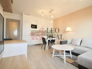 Pronájem bytu 2+kk, Praha - Vysočany, Strnadových, 63 m2