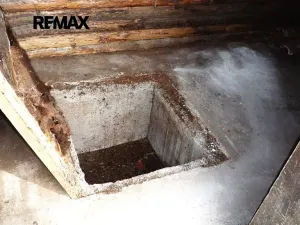 Prodej chaty, Plasy, 50 m2