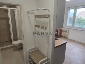 Pronájem bytu 1+kk, Plzeň - Jižní Předměstí, U Borského parku, 20 m2