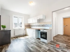 Prodej bytu 1+1, Ostrava - Přívoz, Palackého, 41 m2
