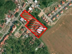 Pronájem výrobních prostor, Račice-Pístovice - Račice, 1622 m2