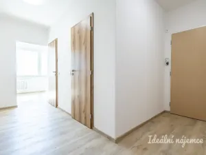 Pronájem bytu 4+1, Praha - Žižkov, Květinková, 74 m2