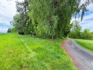 Prodej chaty, Borová, 53 m2