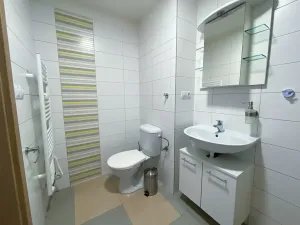 Pronájem bytu 1+kk, Praha - Vršovice, Sevastopolská, 30 m2