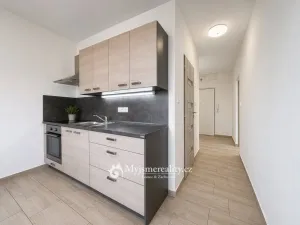 Prodej bytu 2+1, Znojmo, Přímětická, 47 m2