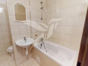 Pronájem bytu 1+1, Horní Bříza, Na Kaolince, 38 m2