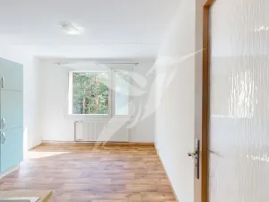 Pronájem bytu 1+1, Horní Bříza, Na Kaolince, 38 m2