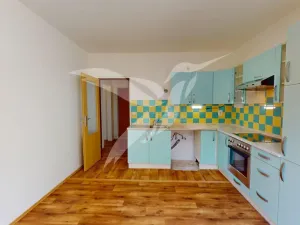 Pronájem bytu 1+1, Horní Bříza, Na Kaolince, 38 m2