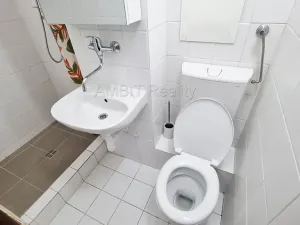 Pronájem bytu 1+kk, Praha - Hloubětín, Šestajovická, 30 m2