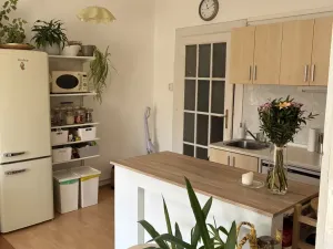 Pronájem bytu 1+1, Praha - Bubeneč, Terronská, 55 m2