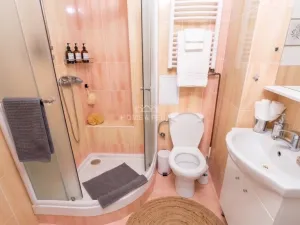 Prodej bytu 1+1, České Budějovice - České Budějovice 7, Pabláskova, 31 m2