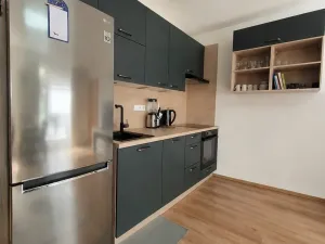 Pronájem bytu 2+kk, České Budějovice, Nová, 47 m2