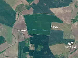 Prodej podílu pole, Terezín, 2879 m2