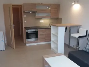 Pronájem bytu 1+kk, Brno, Hostinského, 28 m2