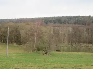 Dražba lesa, Ješetice, 8991 m2