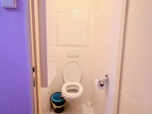 Pronájem bytu 1+1, Ivančice, Sportovní, 36 m2