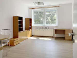 Pronájem bytu 1+kk, Praha, Přípotoční, 26 m2