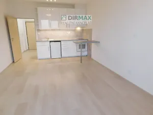 Pronájem bytu 1+kk, Plzeň - Jižní Předměstí, Magisterská, 34 m2