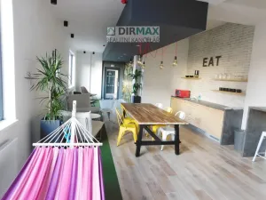 Pronájem bytu 1+kk, Plzeň - Jižní Předměstí, Magisterská, 34 m2