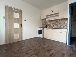 Pronájem bytu 1+1, Chomutov, Kundratická, 38 m2