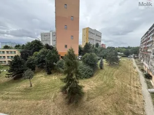 Pronájem bytu 1+1, Chomutov, Kundratická, 38 m2