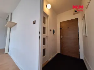 Pronájem bytu 1+kk, Chomutov, Březenecká, 30 m2