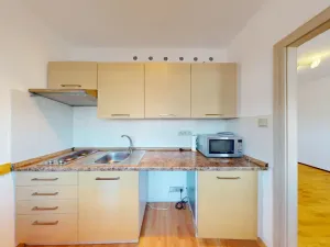 Pronájem bytu 1+1, Ostrava - Mariánské Hory, Václavská, 27 m2