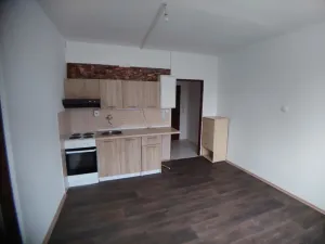 Pronájem bytu 1+1, Tábor, Buzulucká, 34 m2
