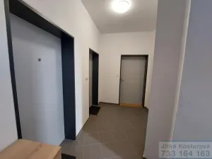 Pronájem bytu 1+kk, Opava - Předměstí, Nákladní, 32 m2