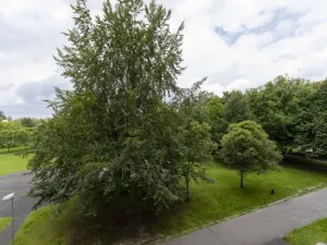 Prodej bytu 3+1, Ostrava - Hrabůvka, Cholevova, 75 m2