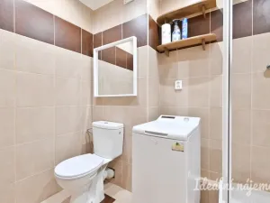 Pronájem bytu 2+1, Brno, Hlinky, 55 m2