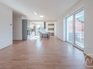 Pronájem bytu 3+kk, Bravantice, 86 m2