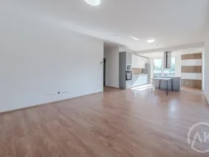 Pronájem bytu 3+kk, Bravantice, 86 m2