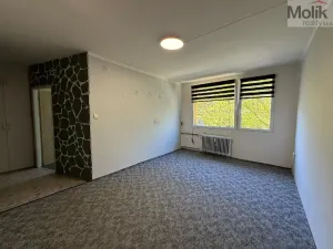 Prodej bytu 2+kk, Most, F. L. Čelakovského, 40 m2