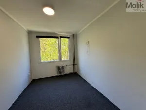 Prodej bytu 2+kk, Most, F. L. Čelakovského, 40 m2