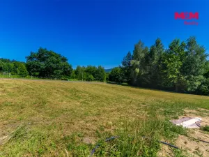 Prodej pozemku pro bydlení, Nové Město pod Smrkem - Hajniště, 1229 m2