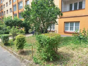 Pronájem bytu 1+1, Praha, Evropská, 37 m2