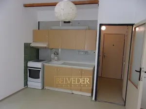 Prodej bytu 1+1, Ústí nad Labem, Družstevní, 37 m2