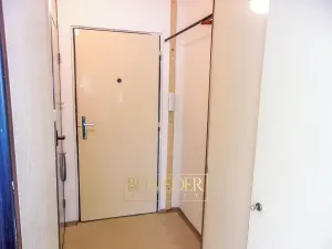 Prodej bytu 1+1, Ústí nad Labem, Družstevní, 37 m2