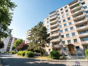Prodej bytu 1+kk, Ústí nad Labem - Krásné Březno, Dr. Horákové, 32 m2