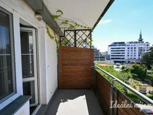 Pronájem bytu 2+kk, Brno, Táborského nábřeží, 56 m2