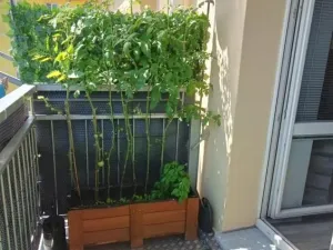 Prodej bytu 2+1, Kladno, 54 m2