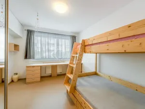 Pronájem bytu 3+kk, Strakonice - Strakonice I, Mlýnská, 90 m2