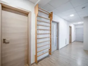 Pronájem bytu 3+kk, Strakonice - Strakonice I, Mlýnská, 90 m2