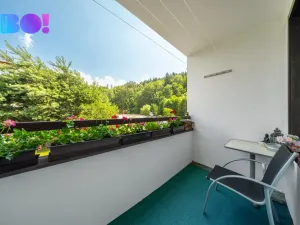 Prodej činžovního domu, Mladé Buky - Kalná Voda, 750 m2