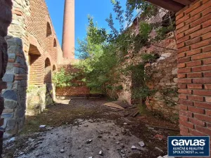 Prodej komerčního pozemku, Šebkovice, 12765 m2