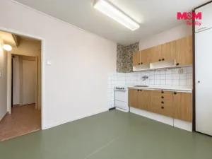 Prodej bytu 1+1, Mladá Boleslav - Mladá Boleslav II, Palackého, 41 m2