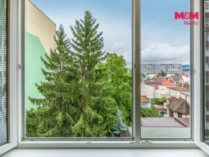 Prodej bytu 1+1, Mladá Boleslav - Mladá Boleslav II, Palackého, 41 m2